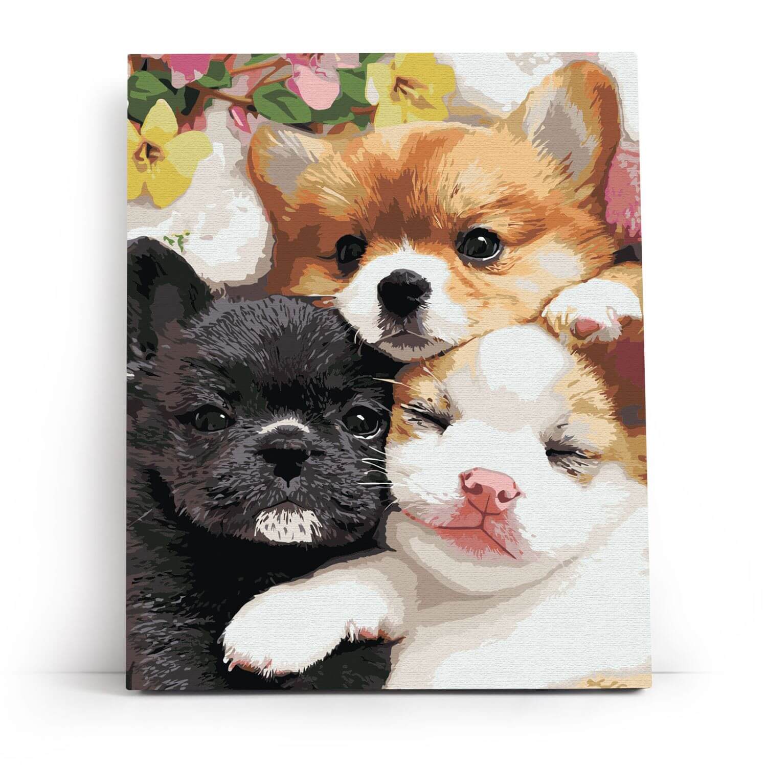 Paint by Numbers 40x50 cm | Fluffy Little Faces (MG2498e) – Painting by numbers | Varvikas.Shop