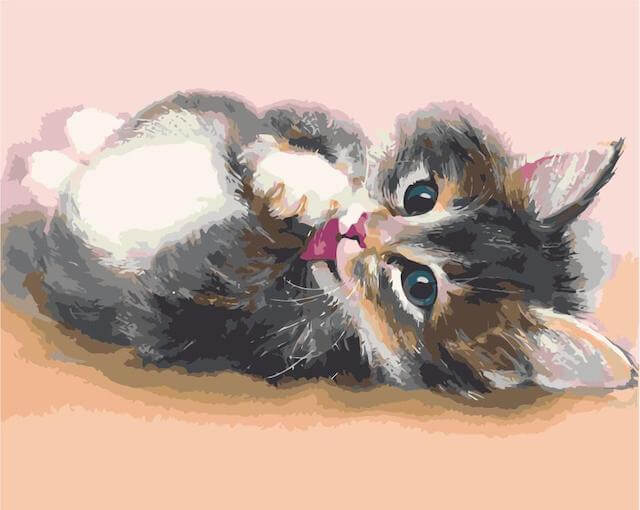 Paint by Numbers 40x50 cm | Little Kitten (MG2076e) – Painting by numbers | Varvikas.Shop