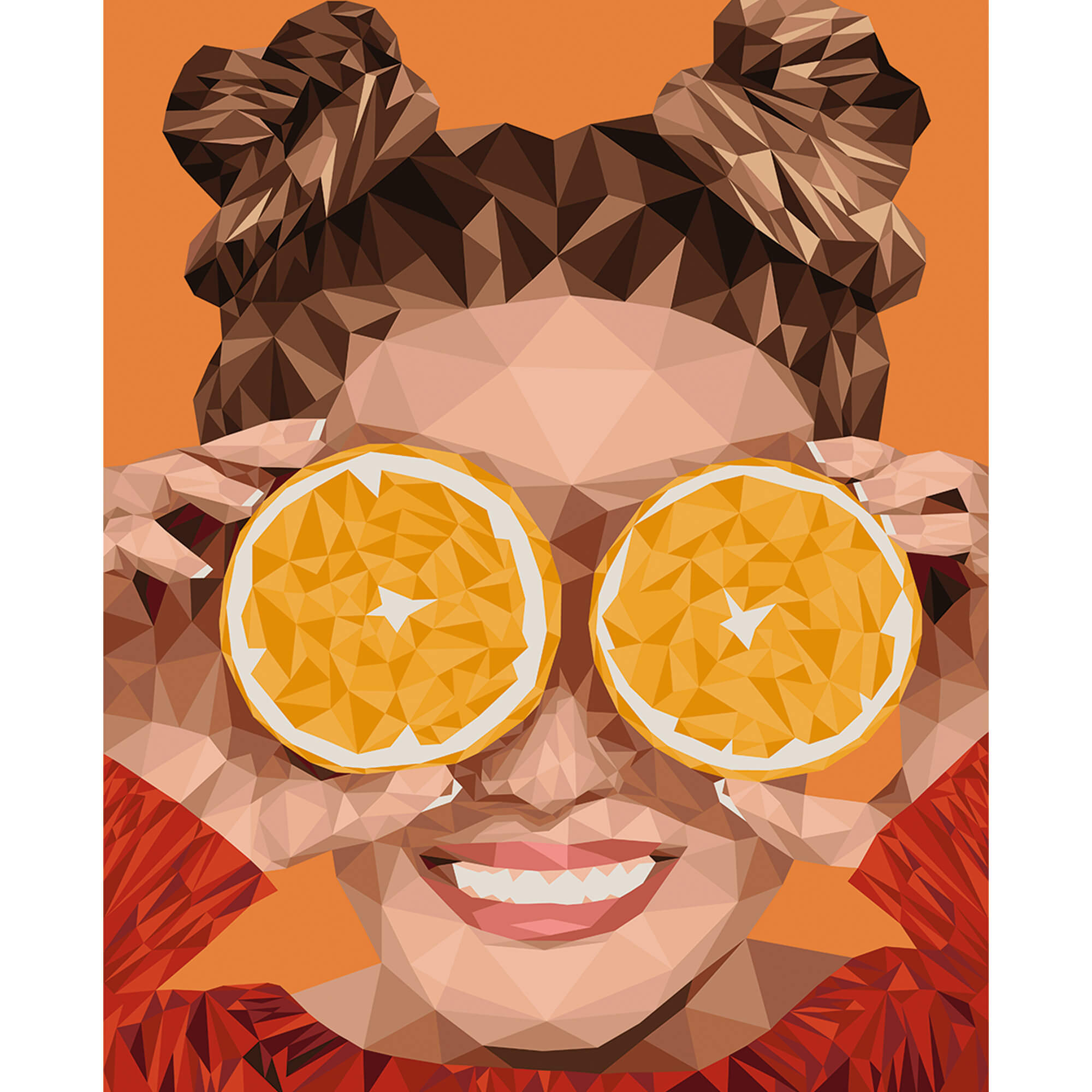 Paint by Numbers 40x50 cm | Orange Fun (MG2428e) – Painting by numbers | Varvikas.Shop