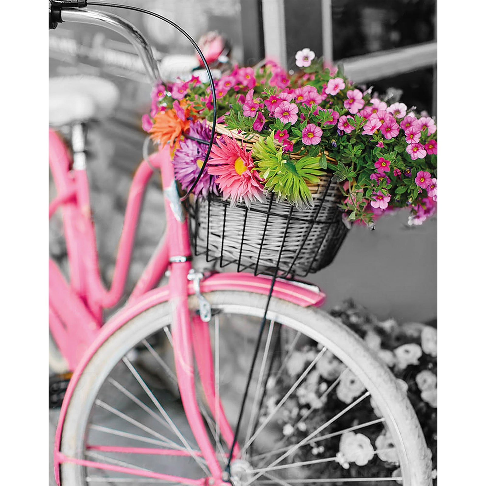 Paint by Numbers 40x50 cm | Pink bicycle (MG2464e) – Painting by numbers | Varvikas.Shop