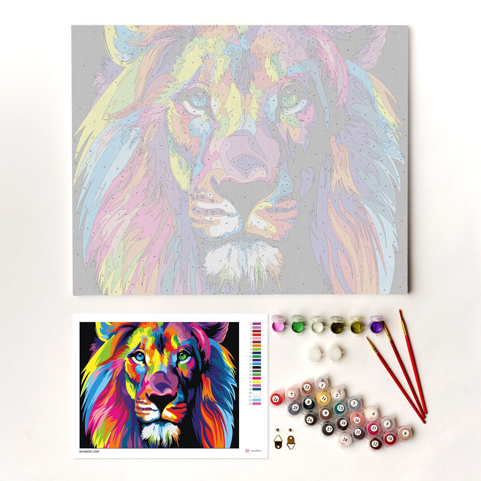 Paint by Numbers 40x50 cm | Rainbow Lion (MG2034e) – Painting by numbers | Varvikas.Shop