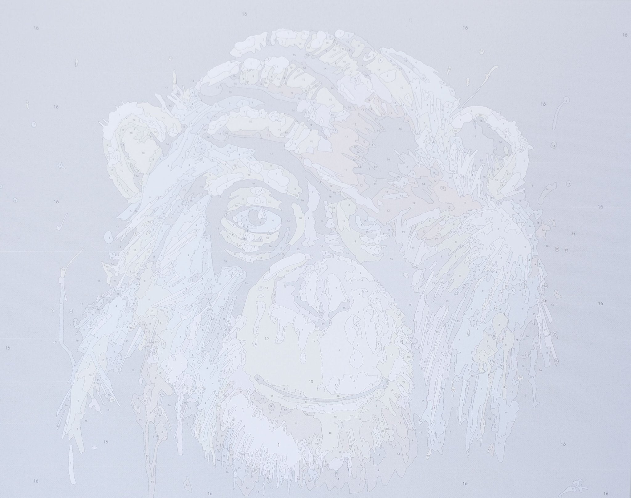 Paint by Numbers 40x50 cm | Rainbow Monkey (MG2033e) – Painting by numbers | Varvikas.Shop