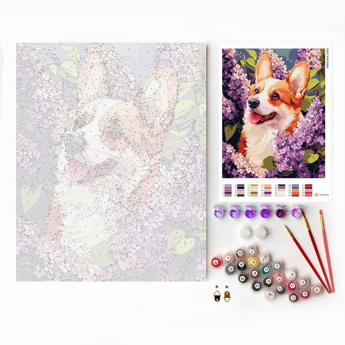 Paint by Numbers 40x50 cm | Springtime Corgi (MG2507e) – Painting by numbers | Varvikas.Shop