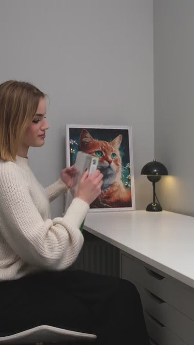 Paint By Numbers ME1169e - video process