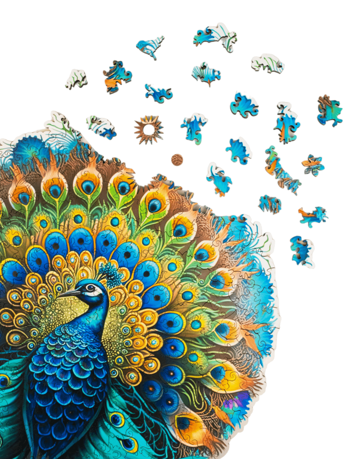 Wooden Jigsaw Puzzle 300 pcs | Proud Peacock (PW031e) – Wooden puzzles | Varvikas.Shop