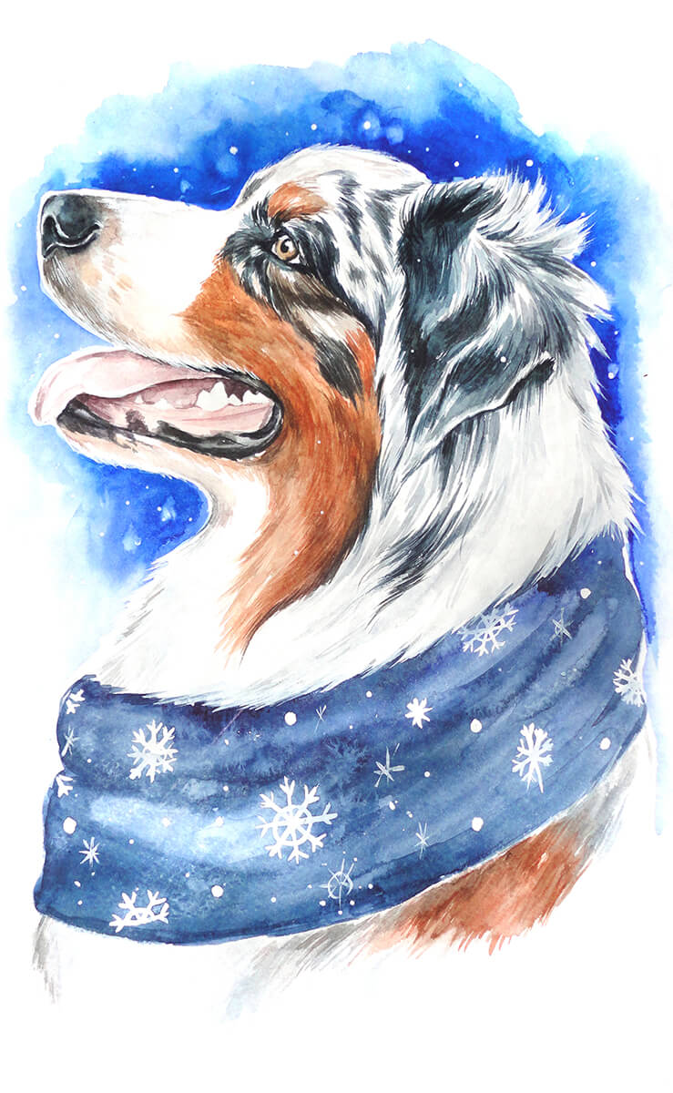 LC014e - Winter dog