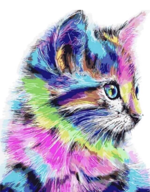 LG009e - Colorful Kitten